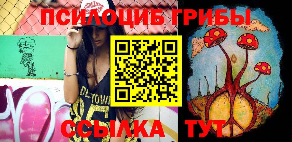 Галлюциногенные грибы MAGIC MUSHROOMS  Вход с VPN  Пугачёв 