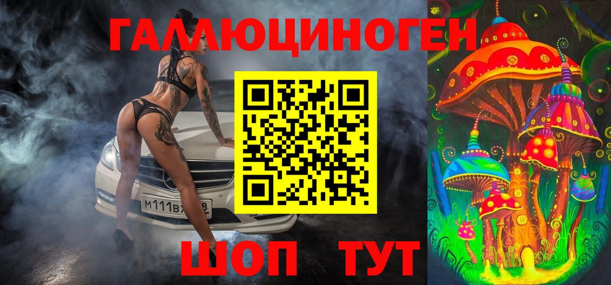 Псилоцибиновые грибы мицелий Пугачёв
